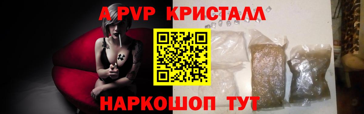 МЕФ Светлоград