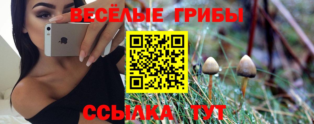Галлюциногенные грибы ЛСД  Псилоцибиновые грибы мухоморы  Светлоград  Вход с VPN 